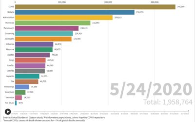 Animation on the Major Causes of Death in the World in 2020