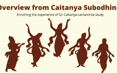 Overview from Caitanya Subodhini